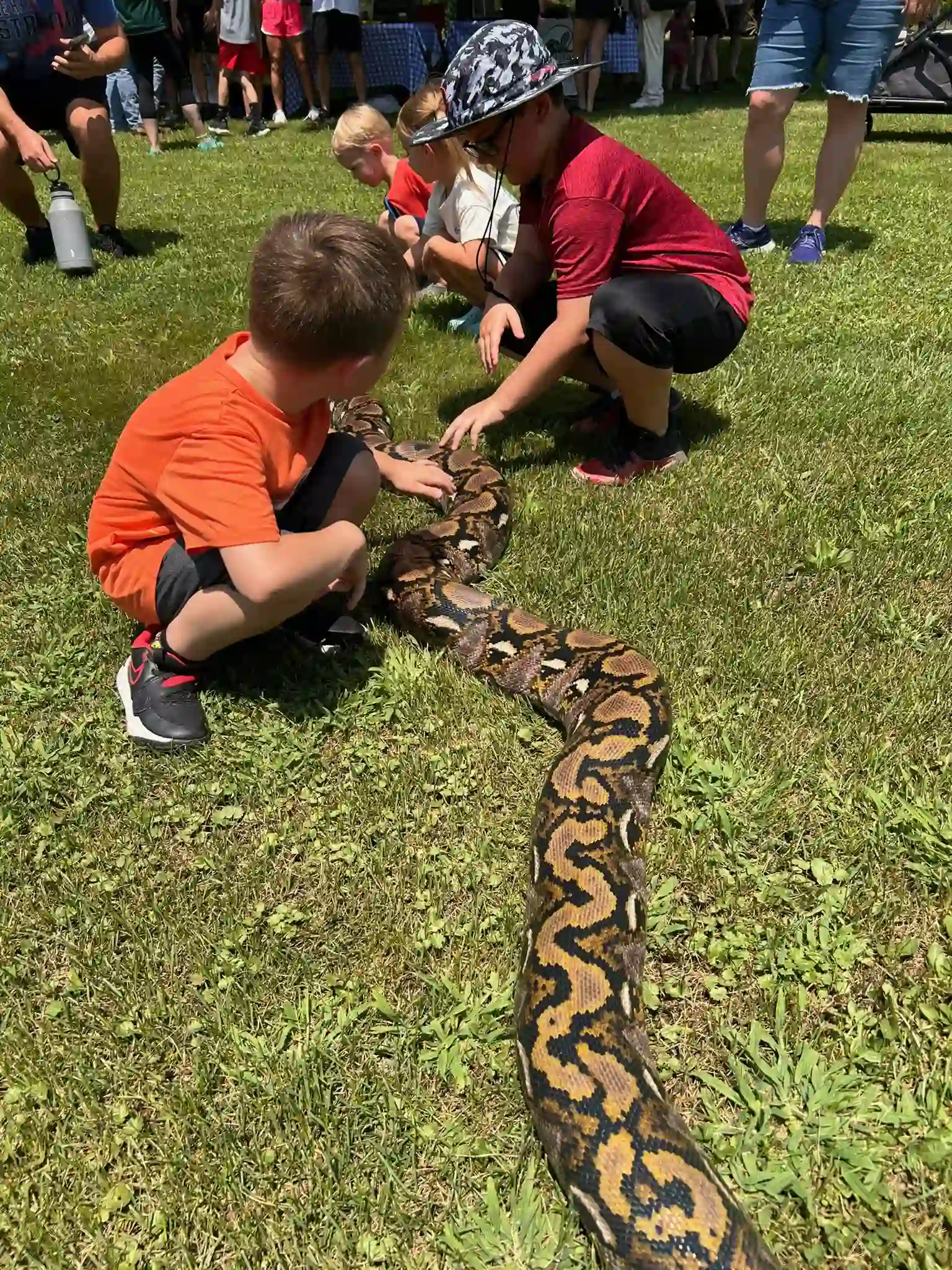 Educational reptile presentation in Alabama